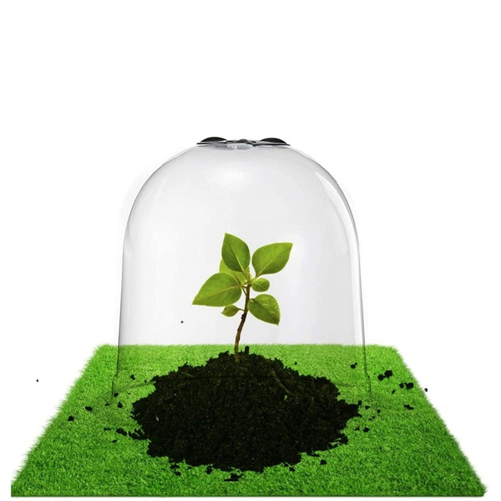 34Pcs-set-Plant-Protect-Bell-Cover-Plastic-Garden-Backyard-Mini-Greenhouse-Anti-Freeze-Clear-Plant-Cover-4