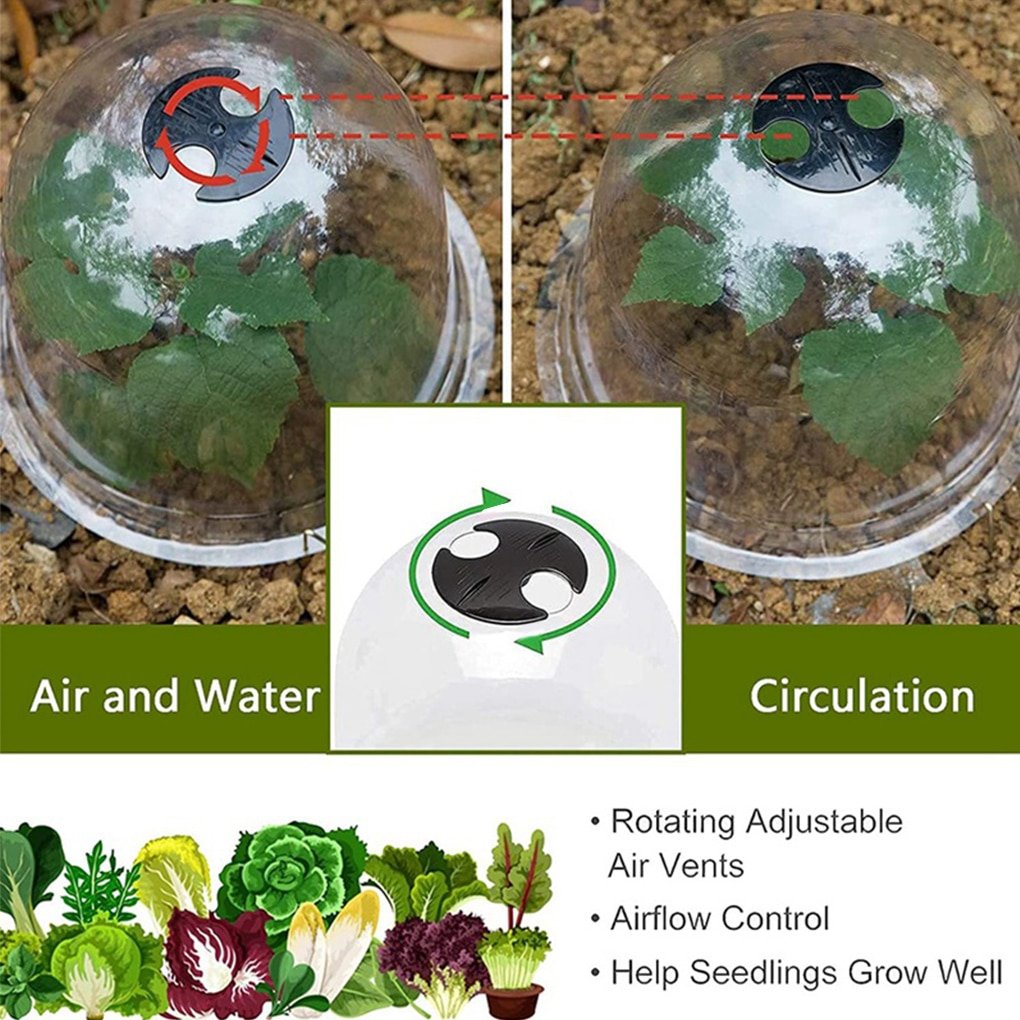 34Pcs-set-Plant-Protect-Bell-Cover-Plastic-Garden-Backyard-Mini-Greenhouse-Anti-Freeze-Clear-Plant-Cover-5