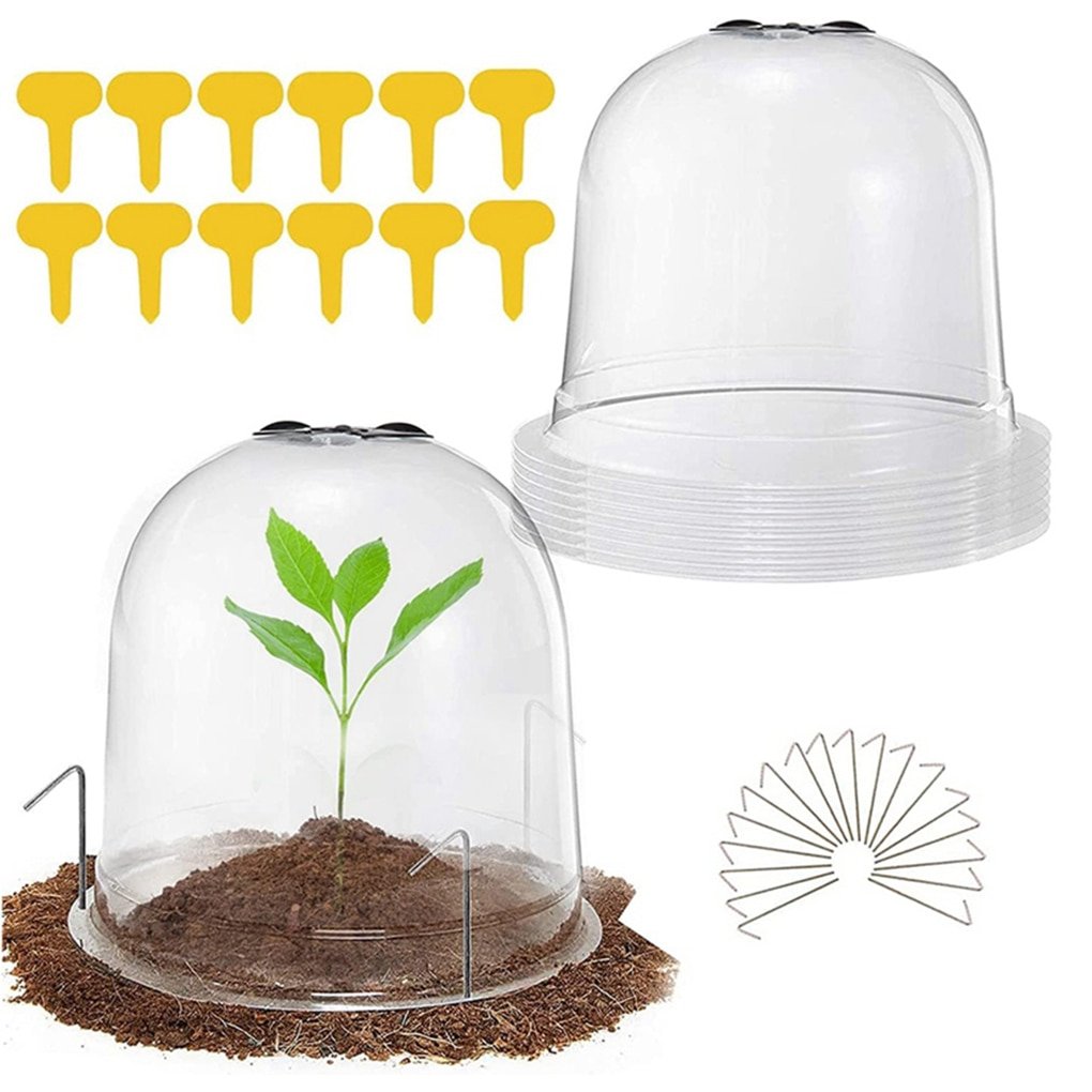 34Pcs-set-Plant-Protect-Bell-Cover-Plastic-Garden-Backyard-Mini-Greenhouse-Anti-Freeze-Clear-Plant-Cover