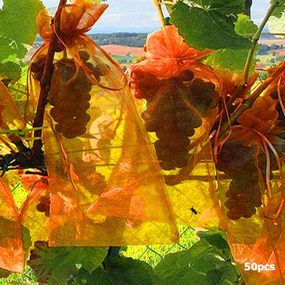 50Pcs-set-Garden-Netting-Bags-Vegetable-Grapes-Apples-Fruit-Protection-Bag-Agricultural-Pest-Control-Anti-Bird-1