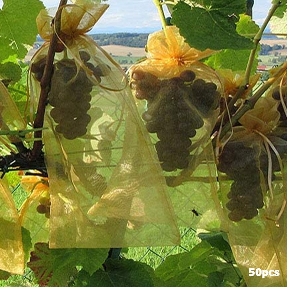 50Pcs-set-Garden-Netting-Bags-Vegetable-Grapes-Apples-Fruit-Protection-Bag-Agricultural-Pest-Control-Anti-Bird-2