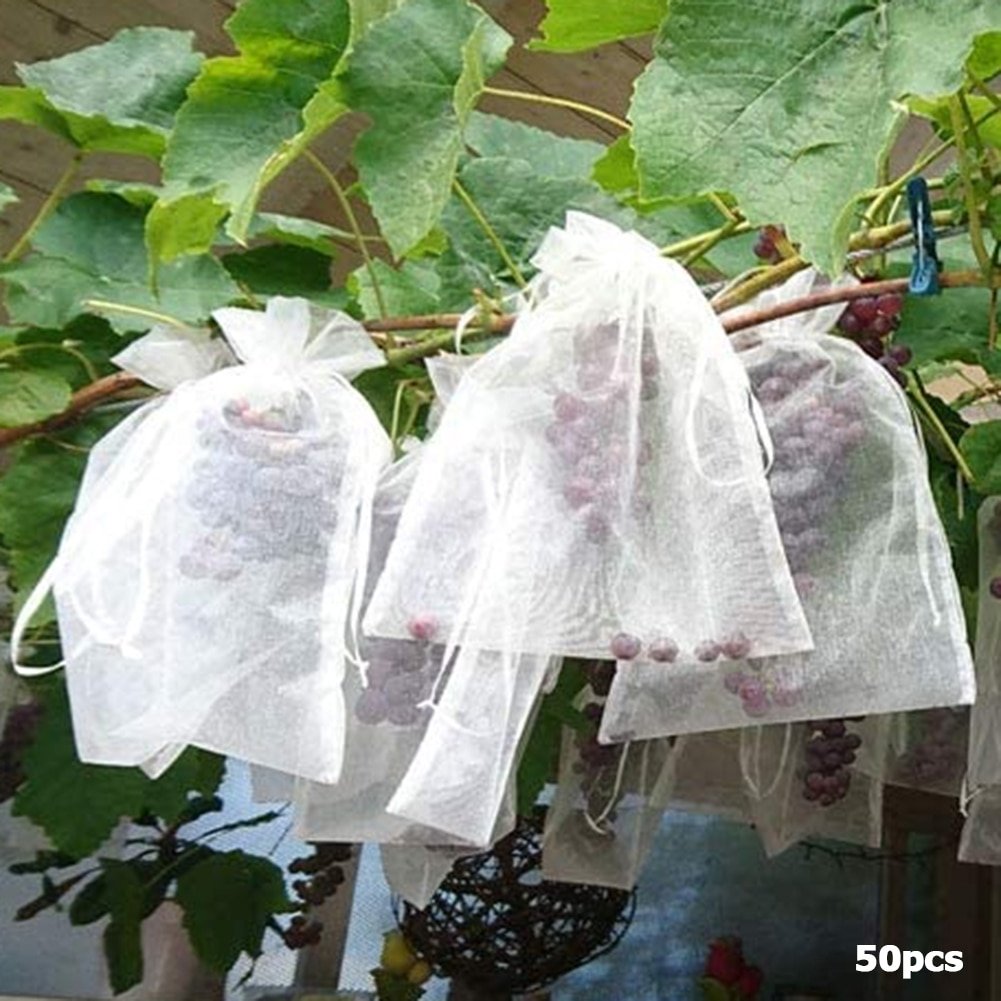 50Pcs-set-Garden-Netting-Bags-Vegetable-Grapes-Apples-Fruit-Protection-Bag-Agricultural-Pest-Control-Anti-Bird-3