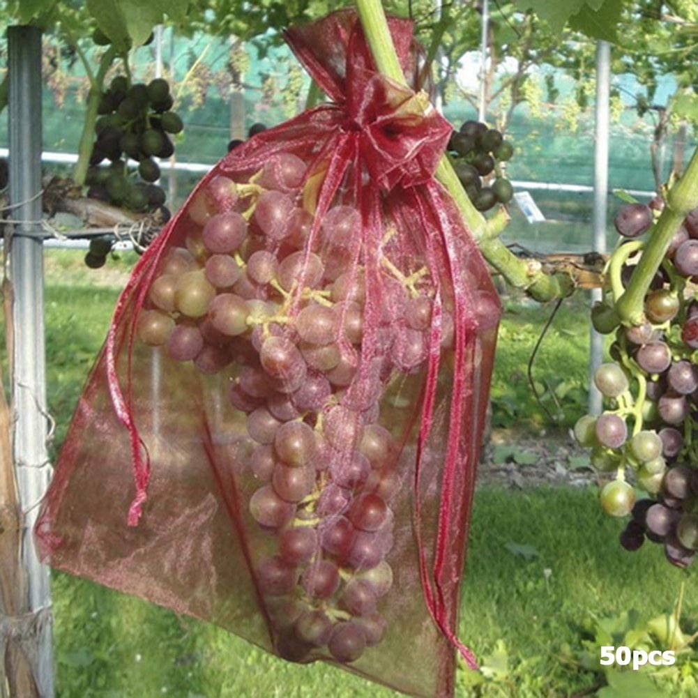 50Pcs-set-Garden-Netting-Bags-Vegetable-Grapes-Apples-Fruit-Protection-Bag-Agricultural-Pest-Control-Anti-Bird-4