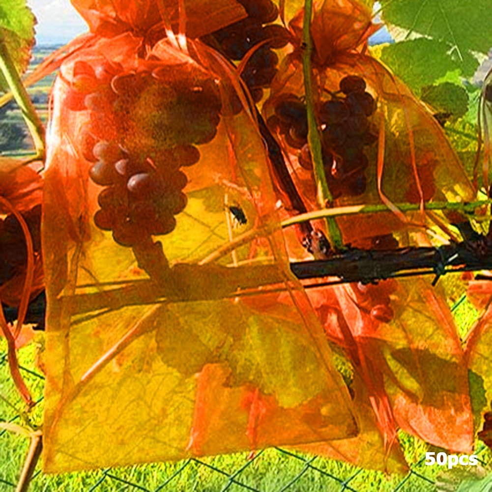 50Pcs-set-Garden-Netting-Bags-Vegetable-Grapes-Apples-Fruit-Protection-Bag-Agricultural-Pest-Control-Anti-Bird